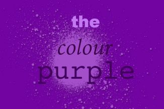 African literature: The Colour Purple, by Alice Walker